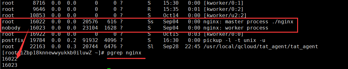 QQ截图20211016180206