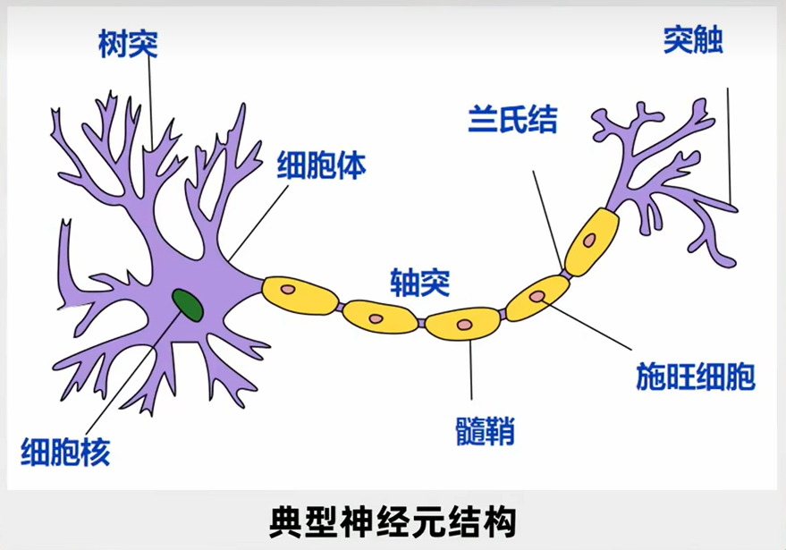 QQ截图20230613163223