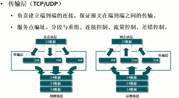 image-20231123225057562