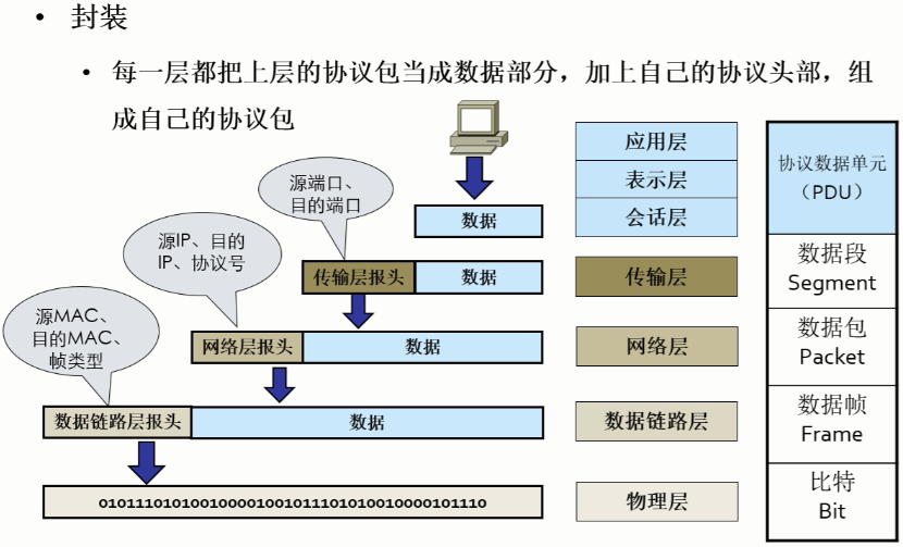 image-20231123232412329