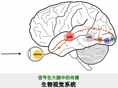 image-20240103232036153