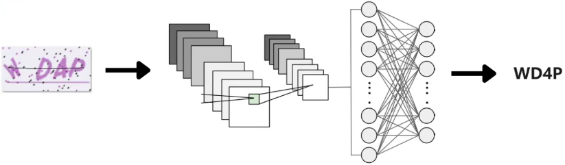 image-20240121182452821