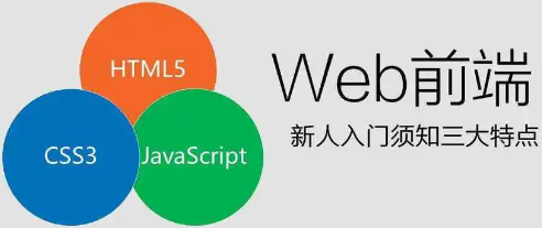 image-20240320150029848