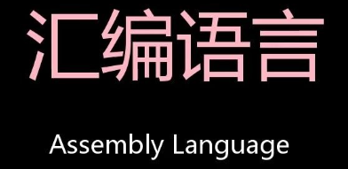 image-20240329105304208