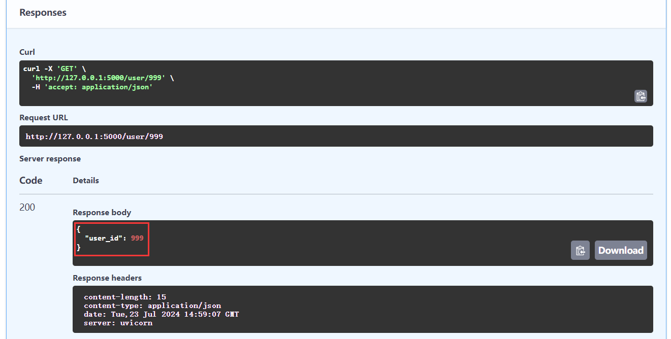 image-20240723230313370