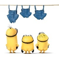 懒py夏洛的博客